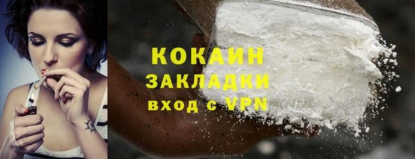 мдпв Дмитриев