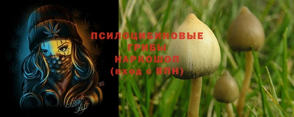 мдпв Дмитриев
