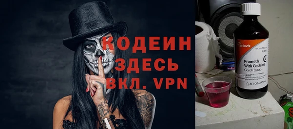 мдпв Дмитриев