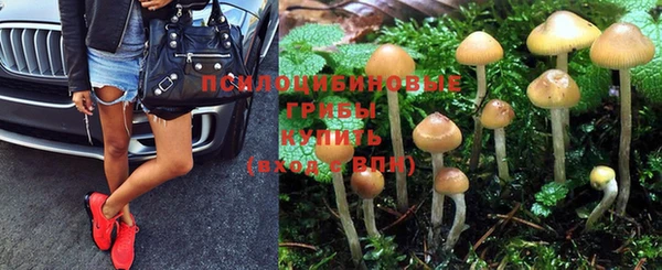 jwh Дмитров