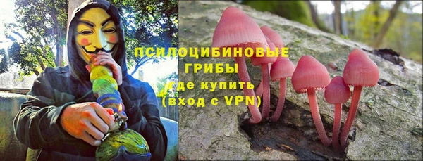 ГАЛЛЮЦИНОГЕННЫЕ ГРИБЫ Няндома