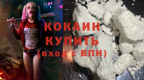 мдпв Дмитриев