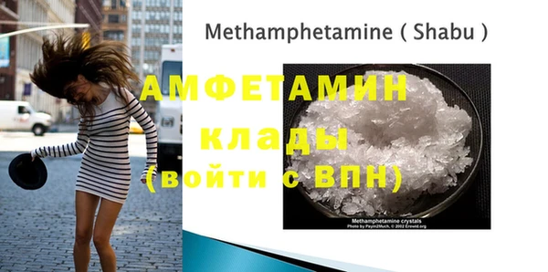 мдпв Дмитриев