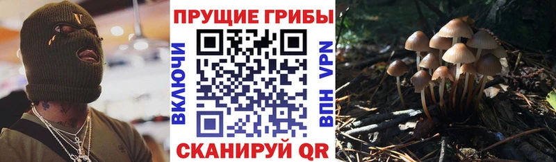 хочу наркоту  Озёры  Псилоцибиновые грибы MAGIC MUSHROOMS 