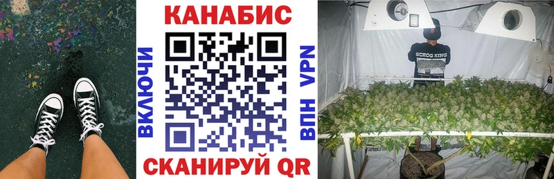 закладка  Озёры  МАРИХУАНА ГИДРОПОН 